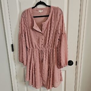 Chic Long Sleeve Pink Dress